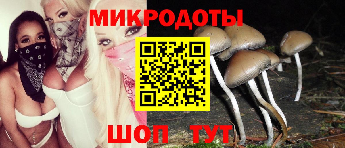 где купить наркотик  Вход с VPN  Рыбинск  Галлюциногенные грибы MAGIC MUSHROOMS 